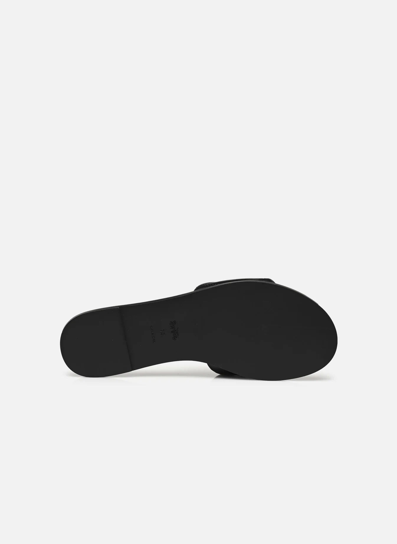 QUILT Slides