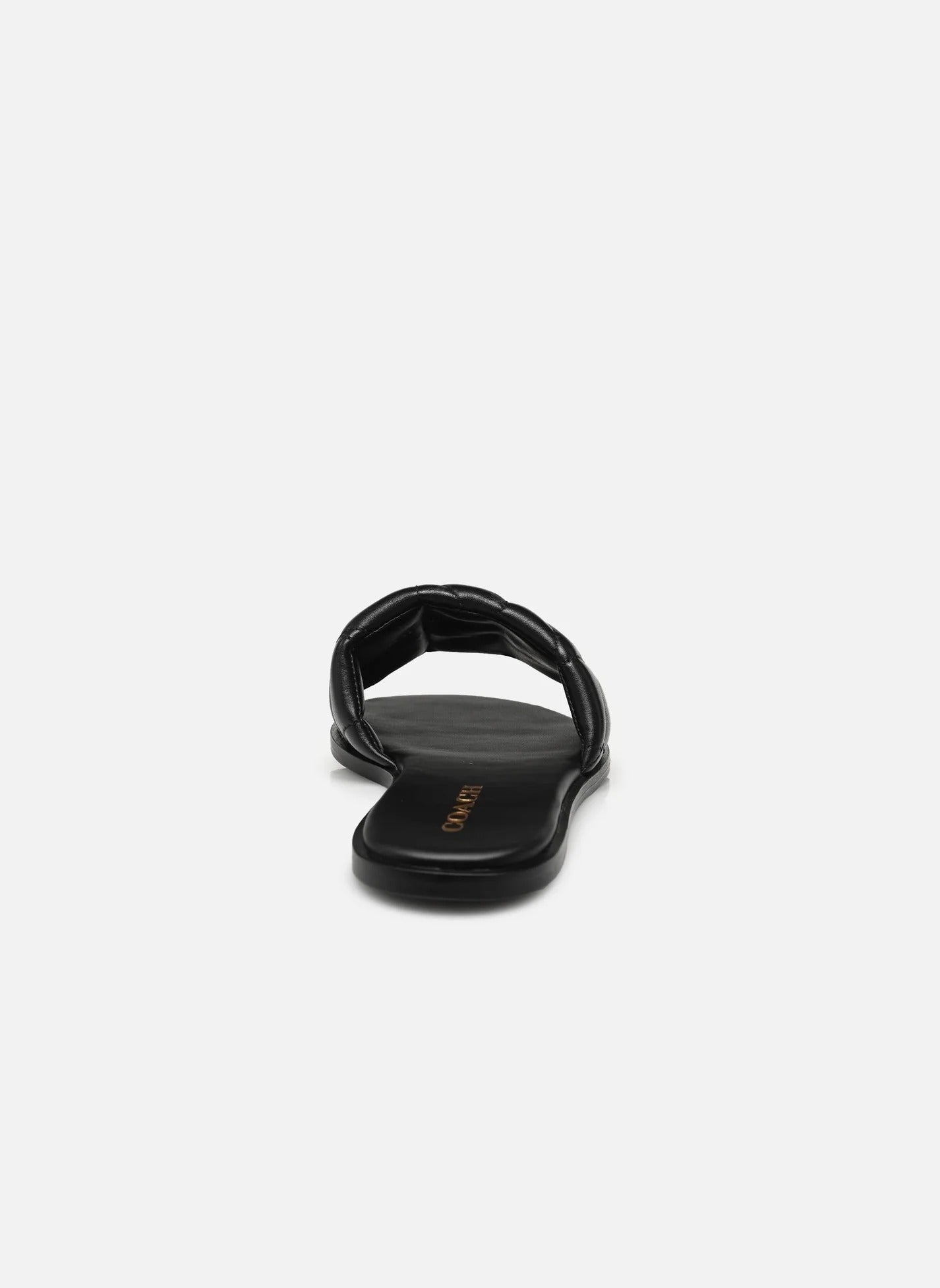 QUILT Slides