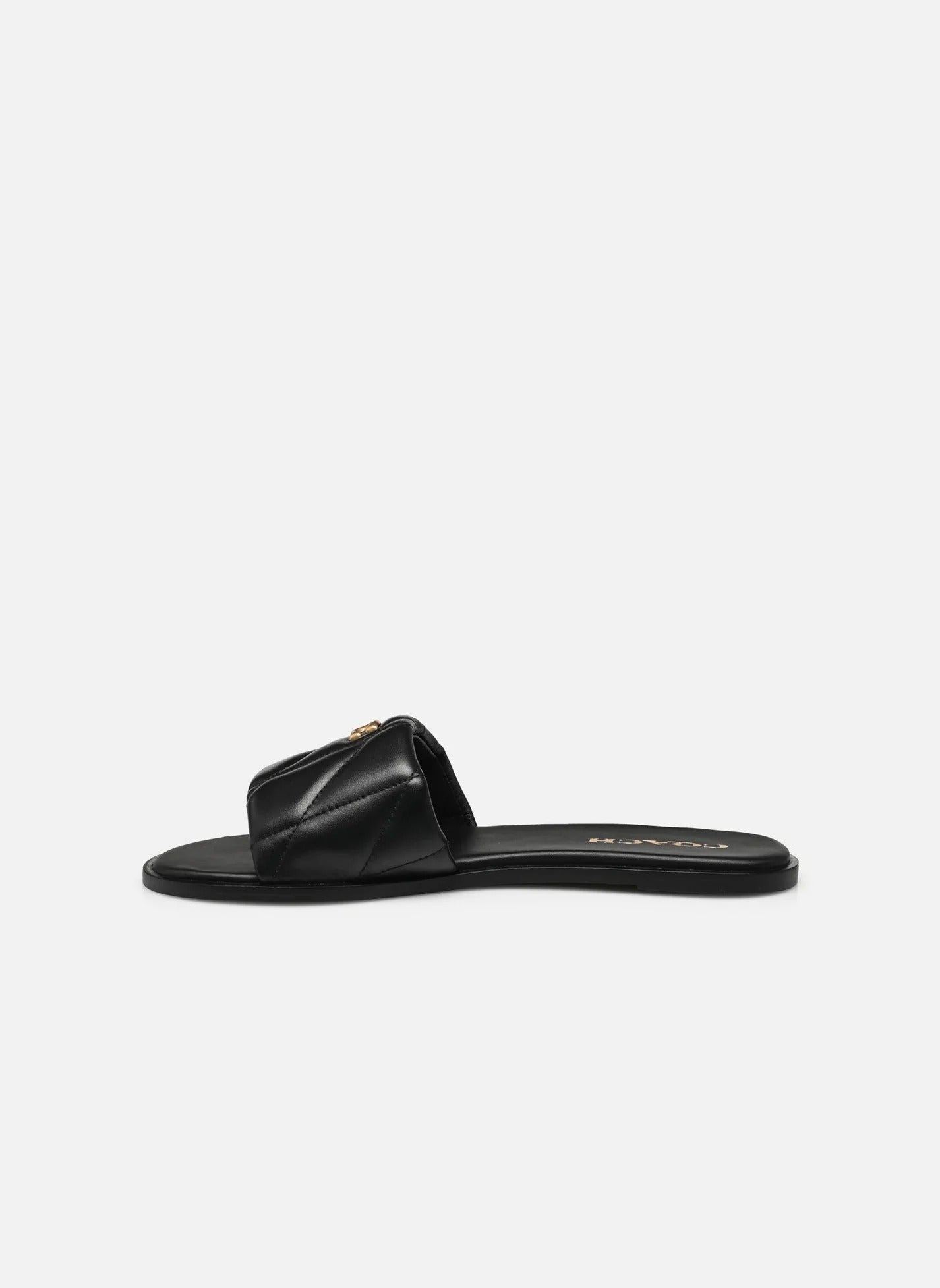 QUILT Slides