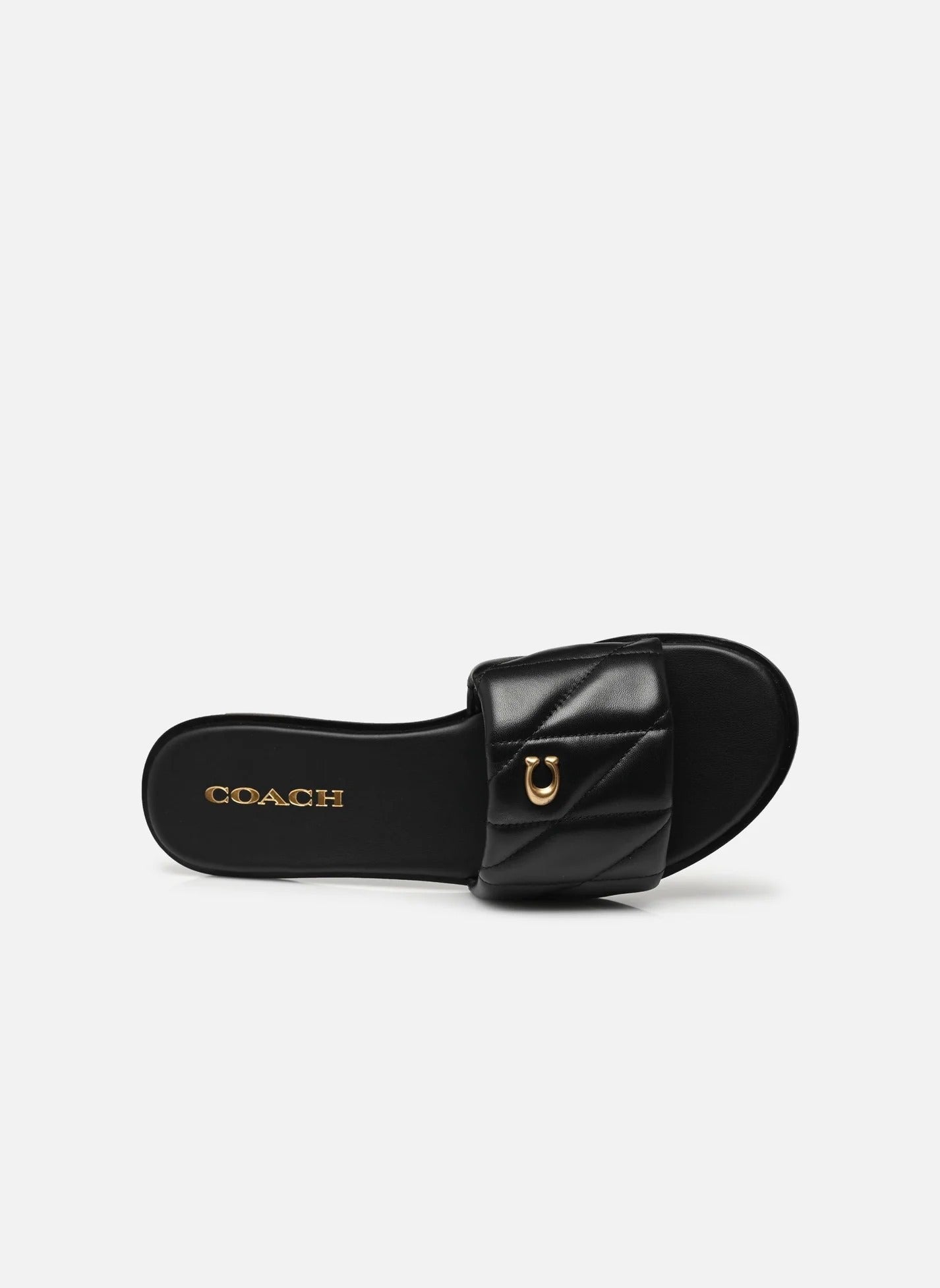 QUILT Slides