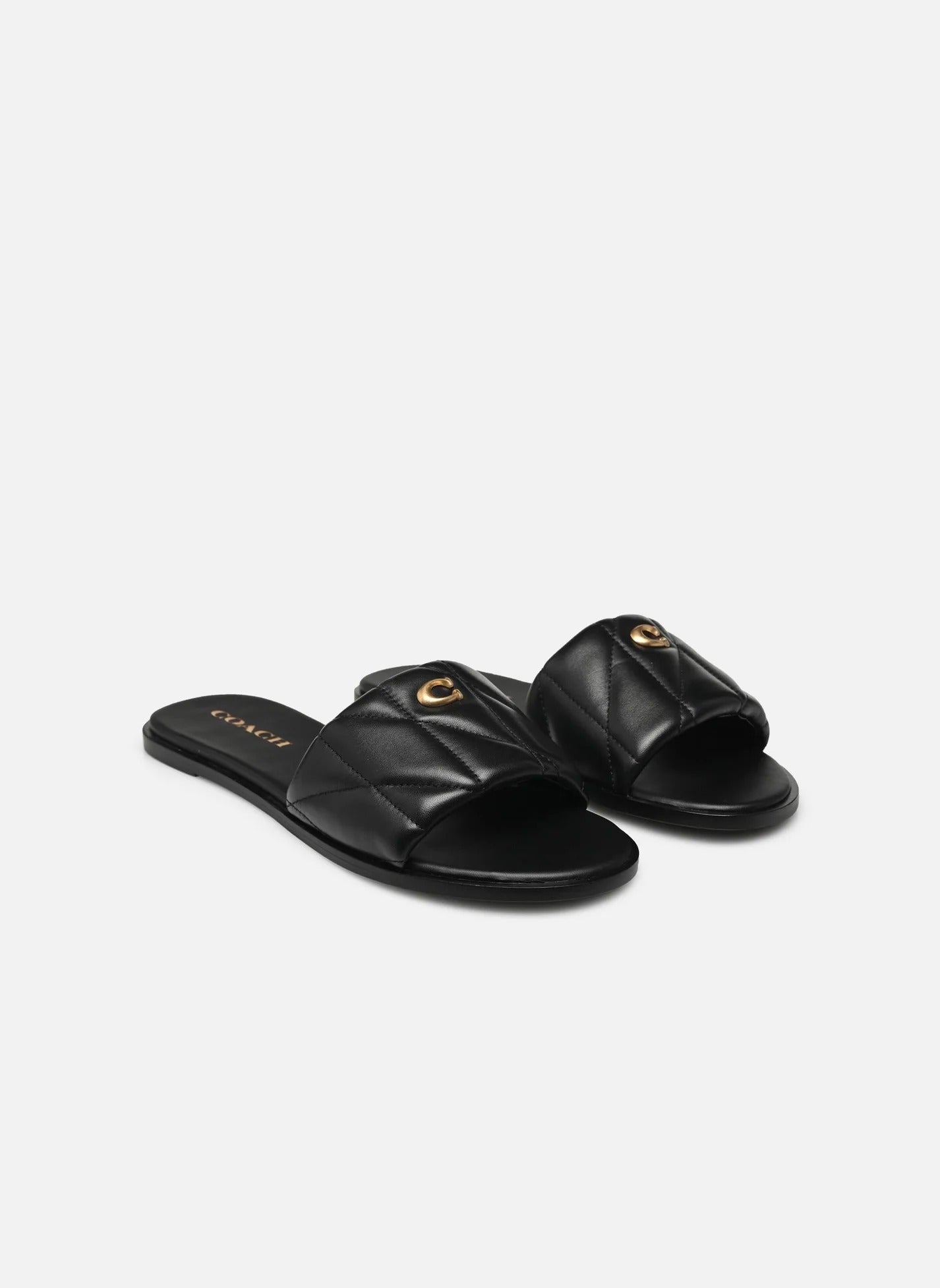 QUILT Slides
